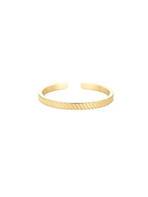 Edelstahl Ring "Ribbed"